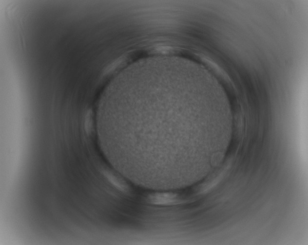 X0000115260361200911061243