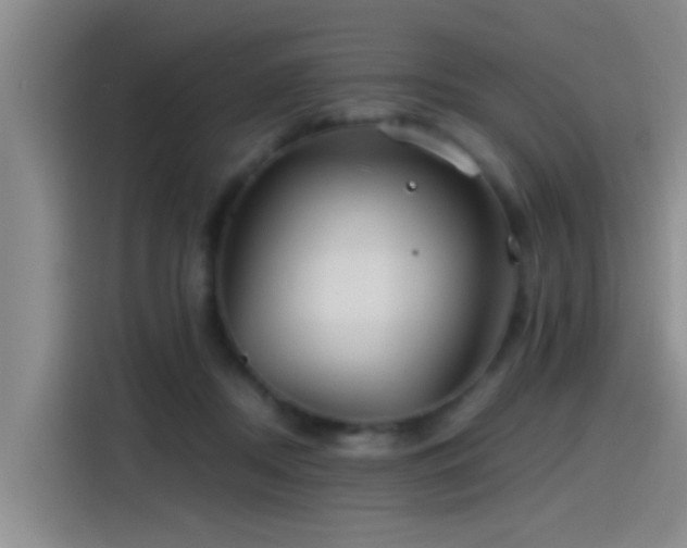 X0000115260362200911061243