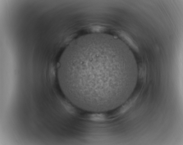 X0000115260363200911061243