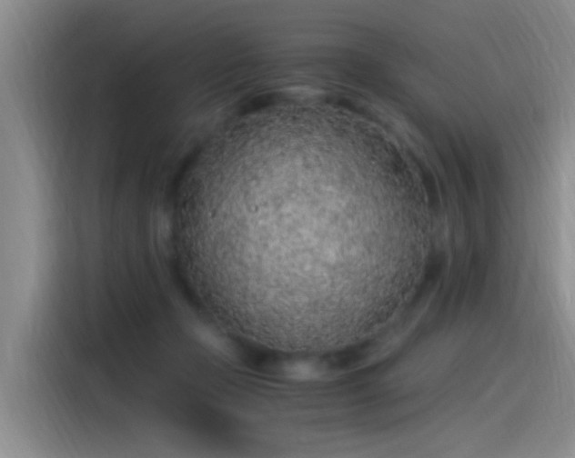 X0000115260365200911061243