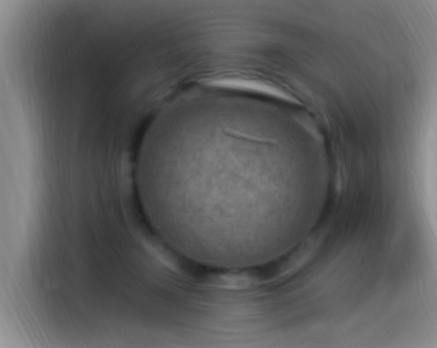 X0000115260366200911061243