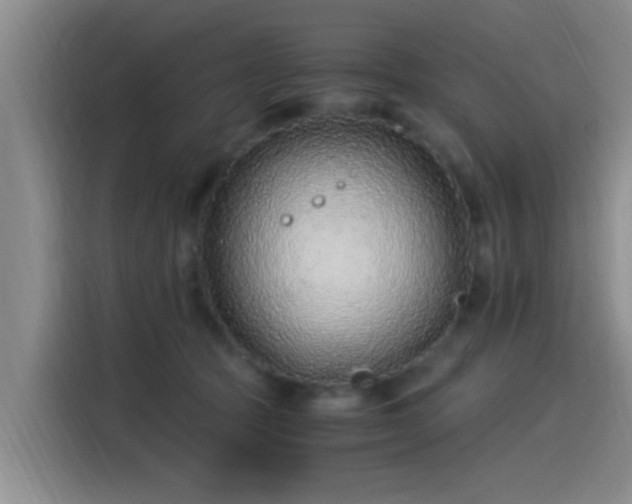 X0000115260369200911061243