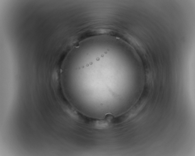 X0000115260373200911061243
