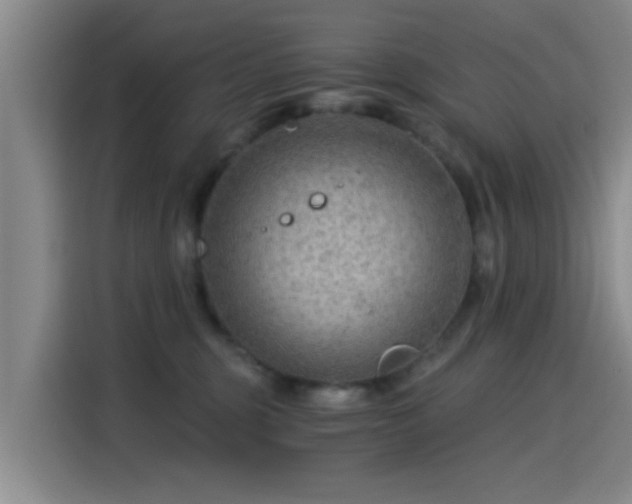 X0000115260375200911061243