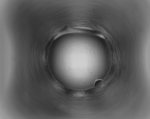 X0000115260377200911061244