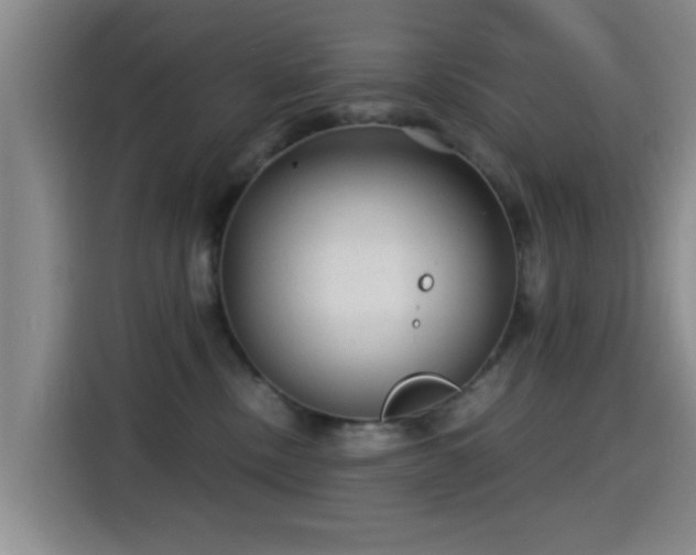 X0000115260378200911061244