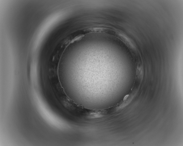 X0000115260381200911061244