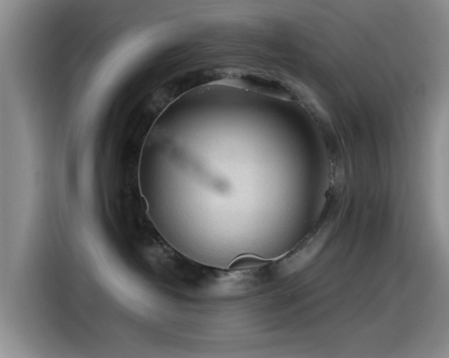 X0000115260382200911061244