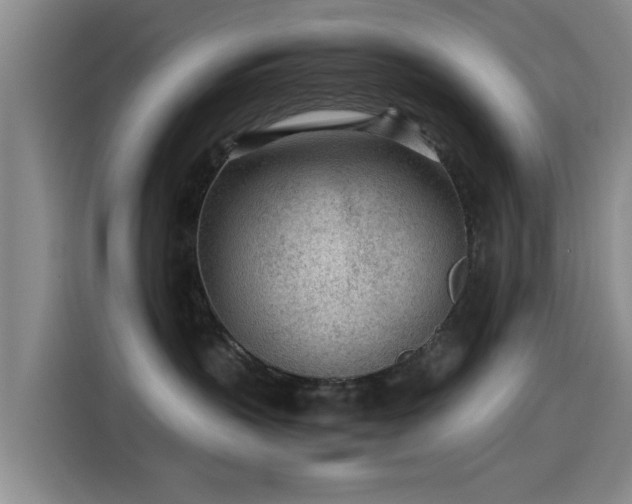 X0000115260383200911061244
