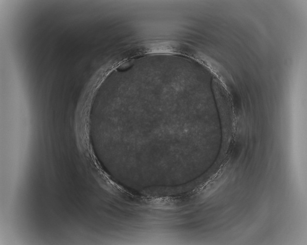 X0000115260385200911061243