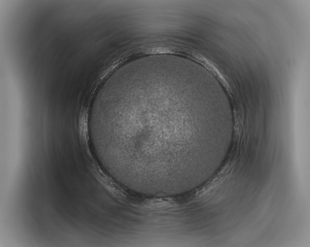 X0000115260386200911061243