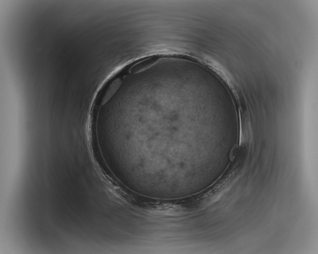 X0000115260387200911061243