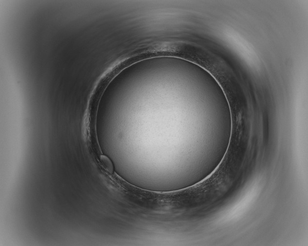 X0000115260388200911061243