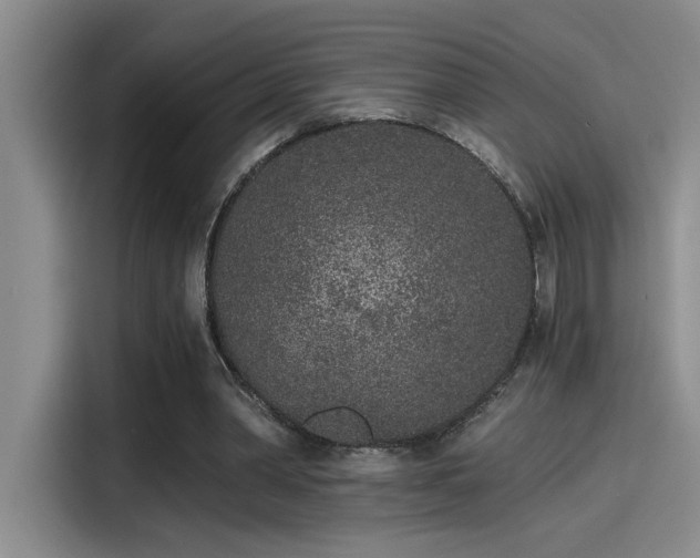 X0000115260390200911061243