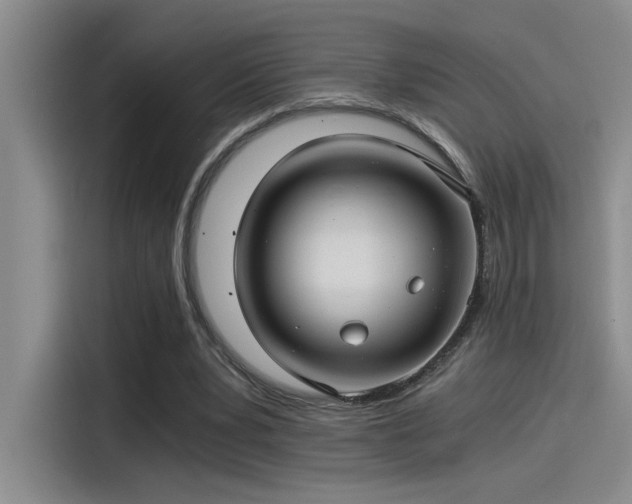 X0000115260391200911061243