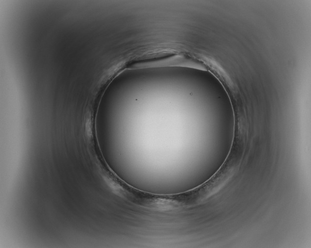 X0000115260393200911061243