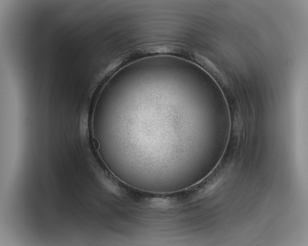 X0000115260394200911061243