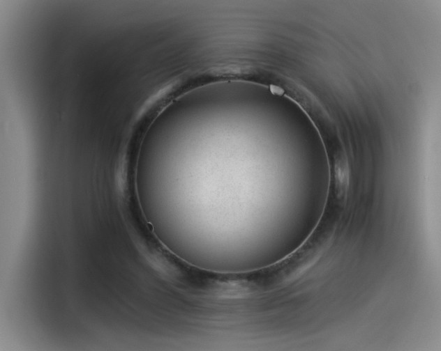 X0000115260396200911061243