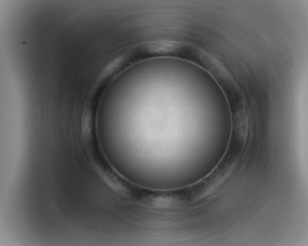 X0000115260400200911061243