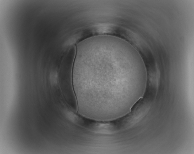 X0000115260401200911061243