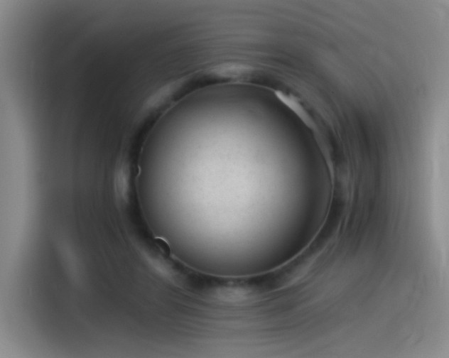 X0000115260404200911061243