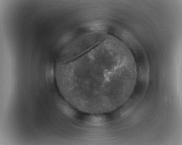 X0000115260405200911061243
