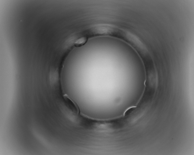 X0000115260407200911061243