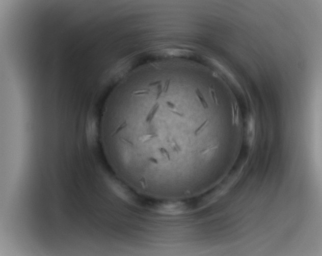 X0000115260410200911061243