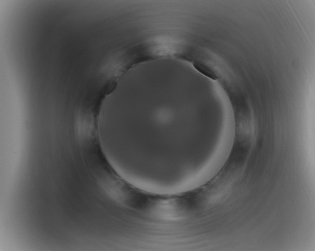 X0000115260411200911061243