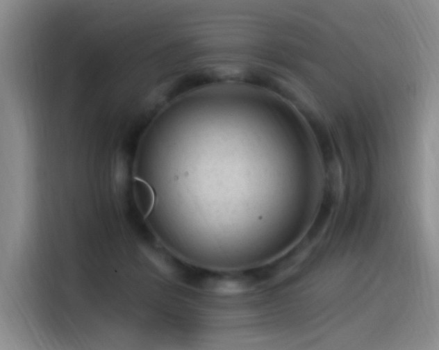 X0000115260412200911061243