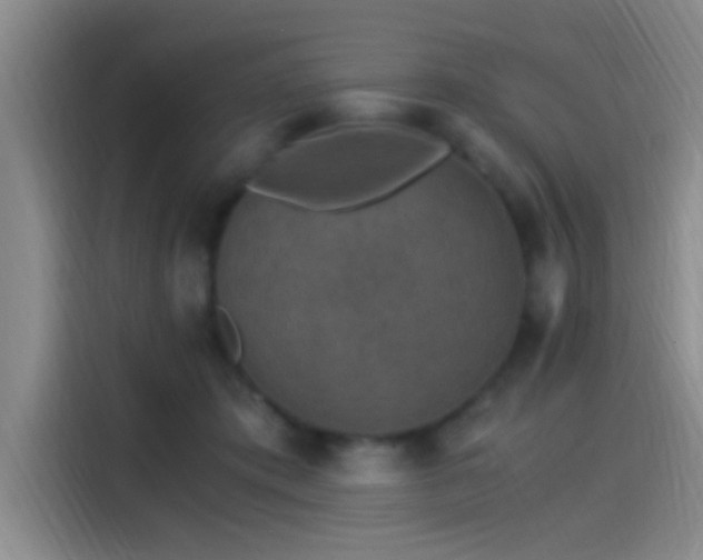 X0000115260413200911061243
