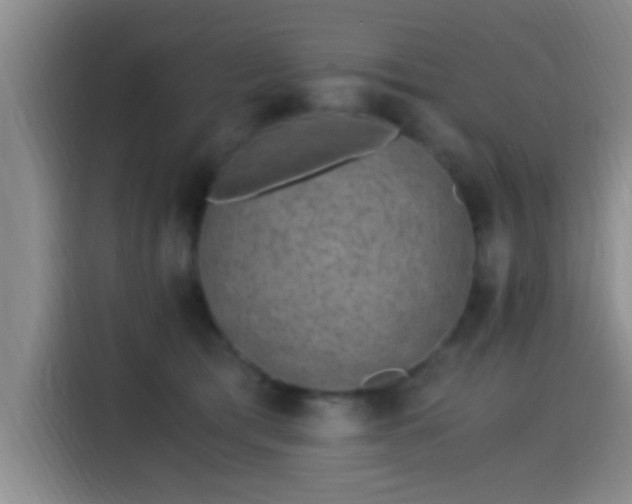 X0000115260417200911061243