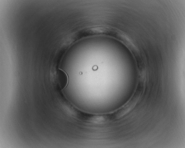 X0000115260418200911061243