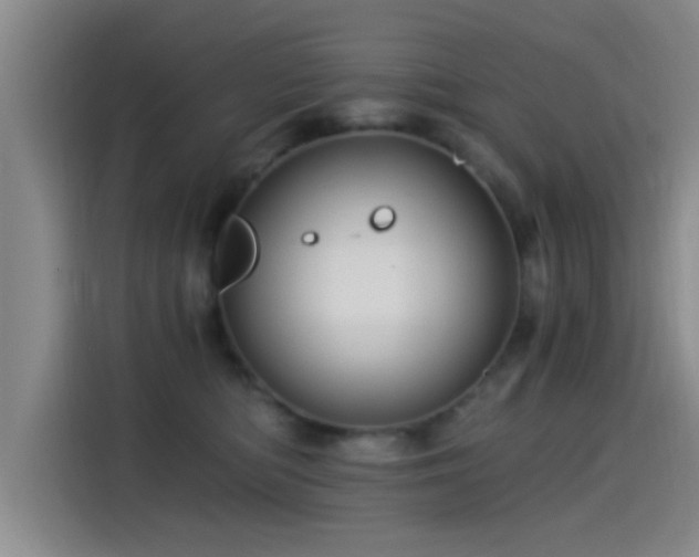 X0000115260422200911061243
