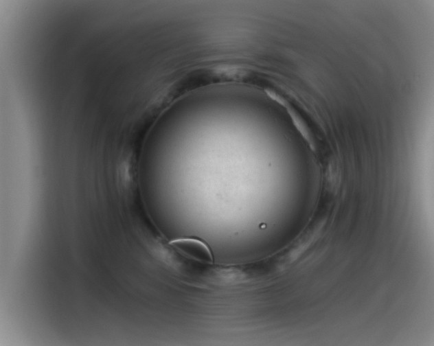 X0000115260424200911061242