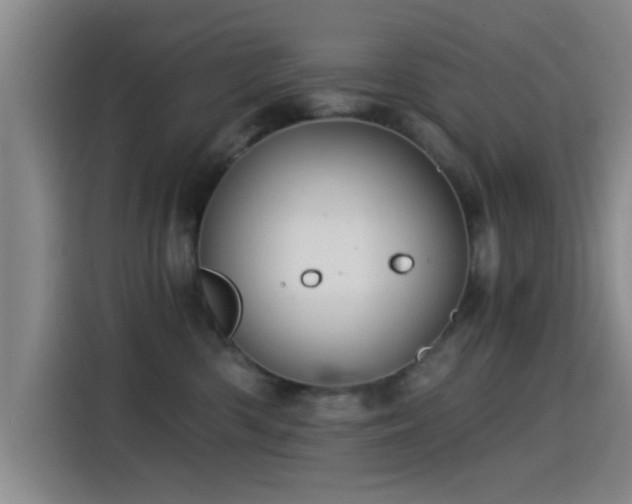 X0000115260426200911061242