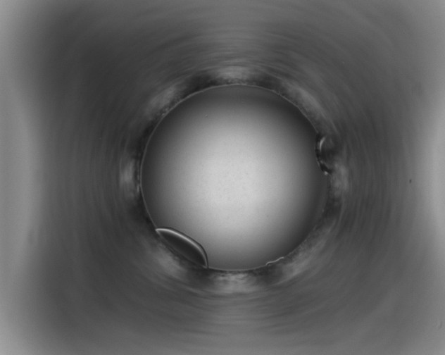X0000115260428200911061242
