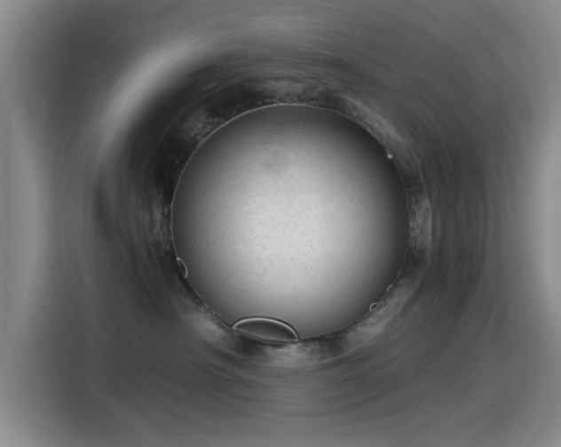 X0000115260430200911061242