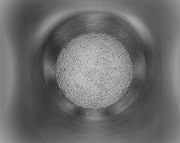 X0000115260431200911061242
