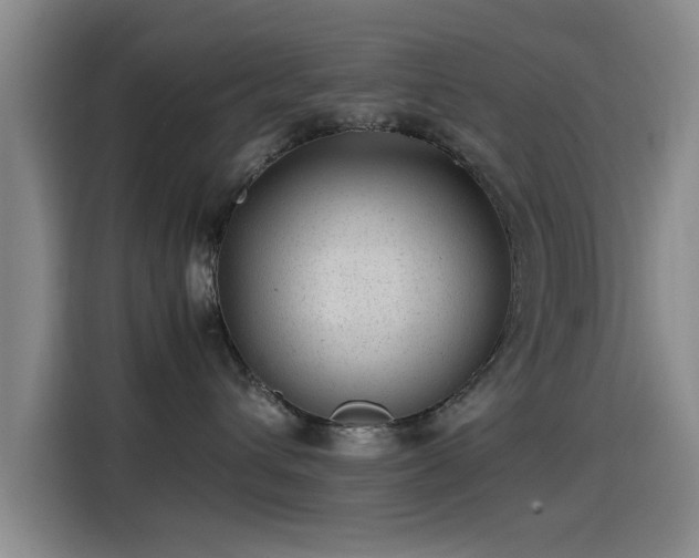 X0000115260432200911061242