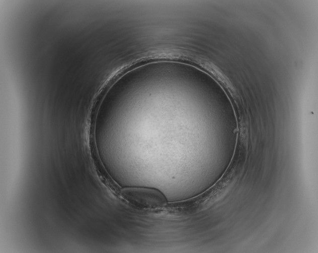 X0000115260434200911061242