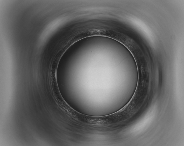 X0000115260435200911061242