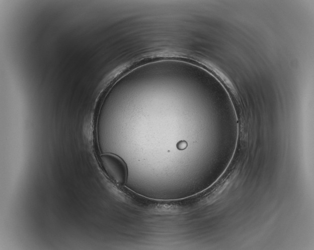 X0000115260437200911061242