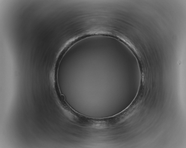 X0000115260438200911061242