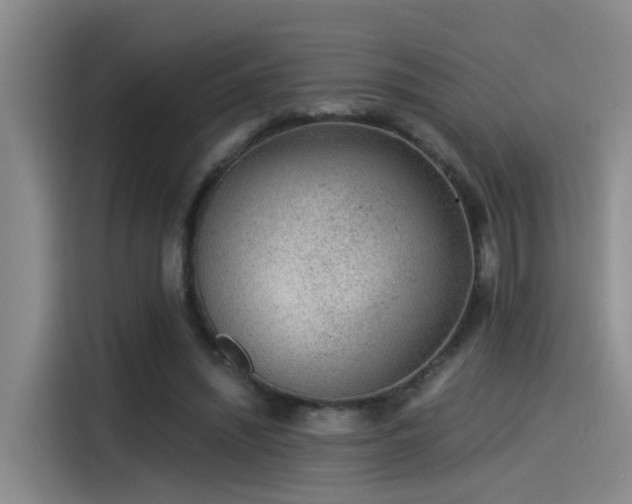 X0000115260444200911061242