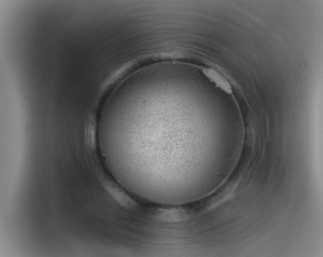 X0000115260446200911061242