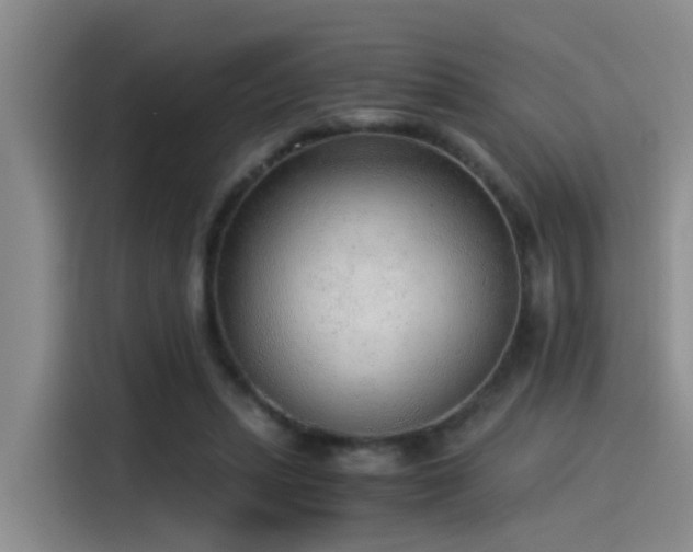 X0000115260447200911061242