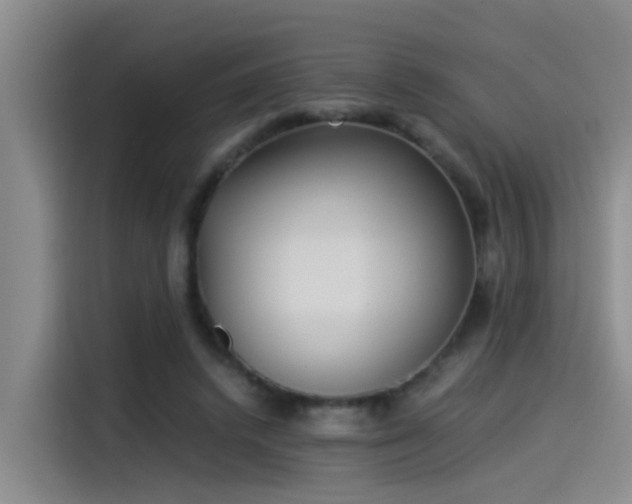 X0000115260448200911061242
