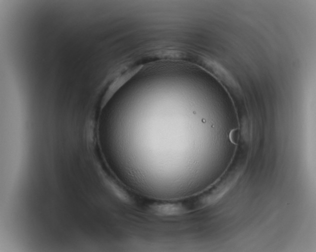 X0000115260449200911061242