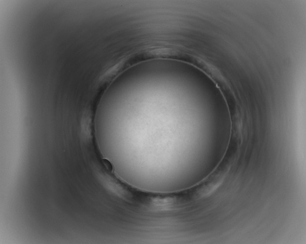 X0000115260450200911061242